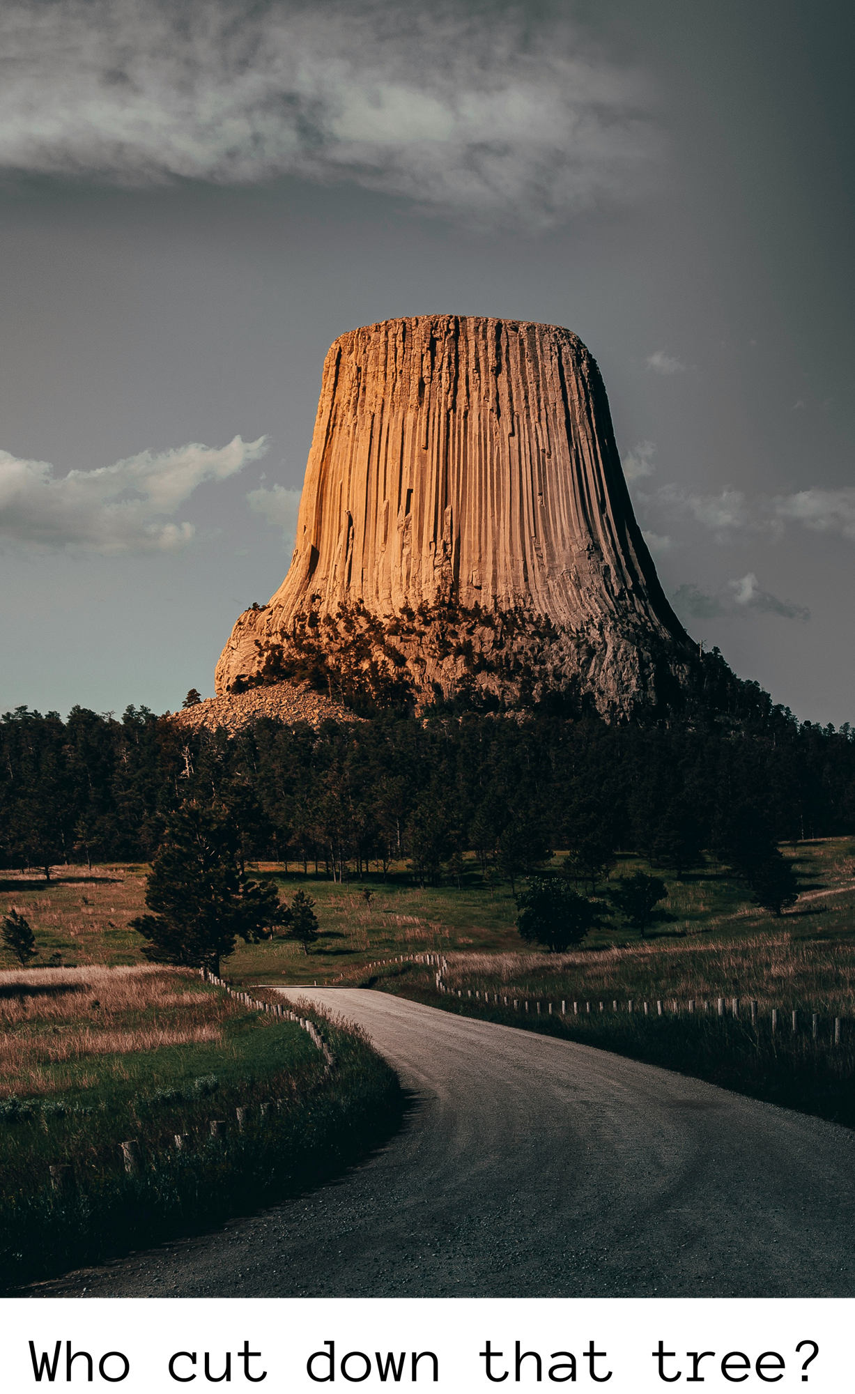 Devils Tower - Who Cut Down That Tree - Organisches Oversize Shirt